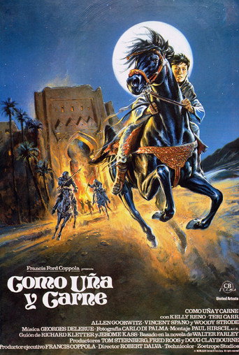 Póster de El regreso del Corcel Negro
