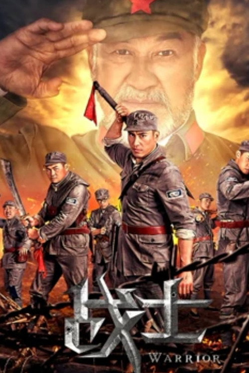 Póster de 战士