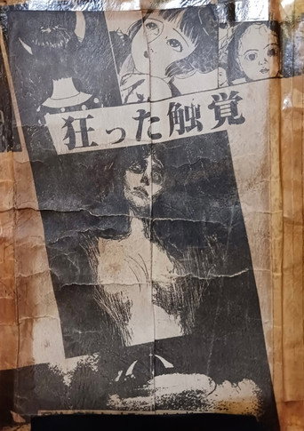 Póster de 激愛！ロリータ密猟