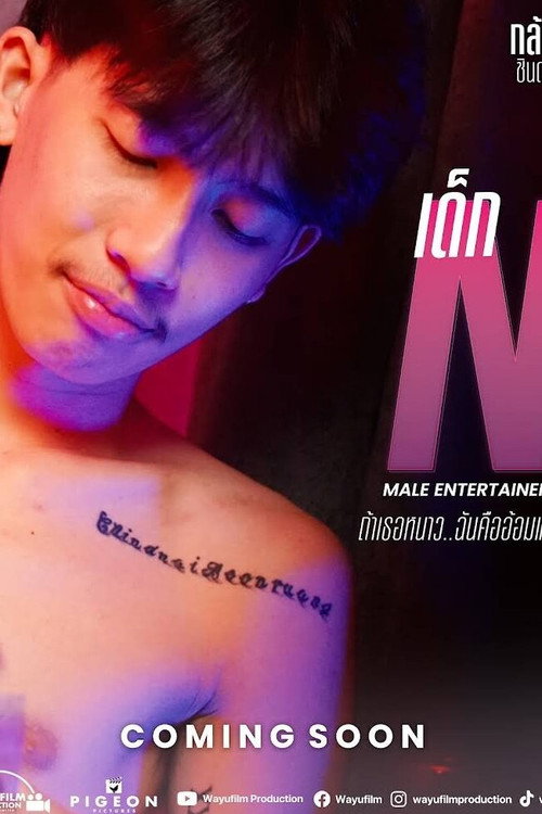Póster de Male Entertainer