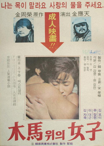 Póster de The Woman On The Ferris Wheel