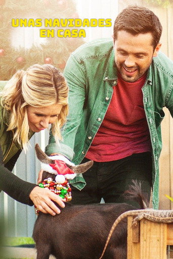 Póster de Hometown Christmas