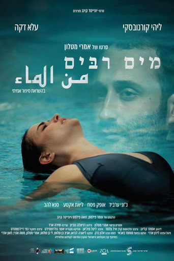 Póster de Many Waters