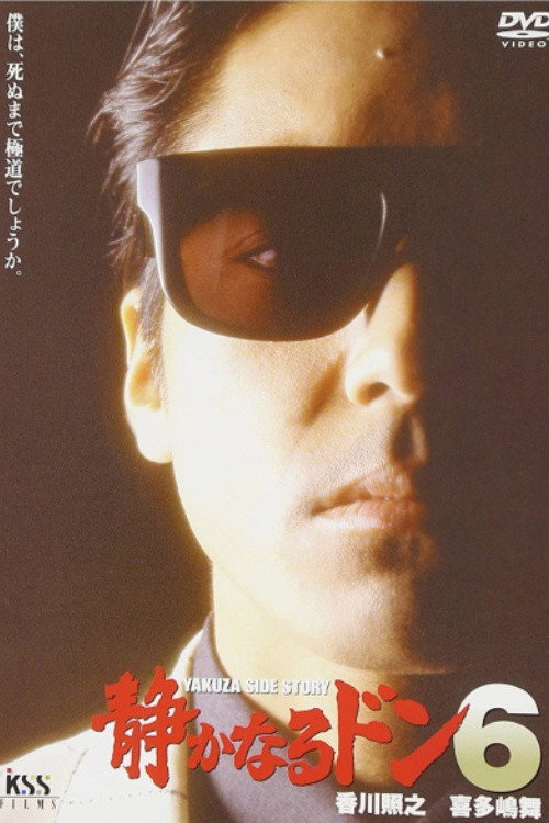 Póster de 静かなるドン6
