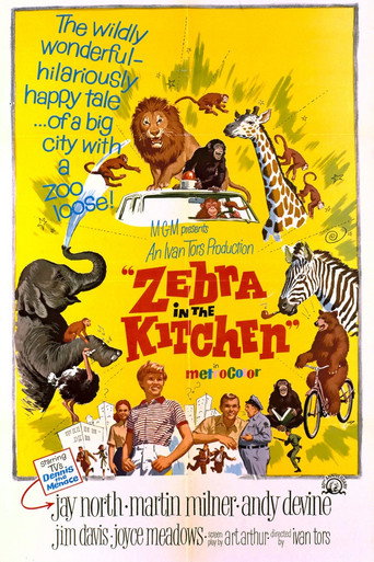Póster de Zebra in the Kitchen