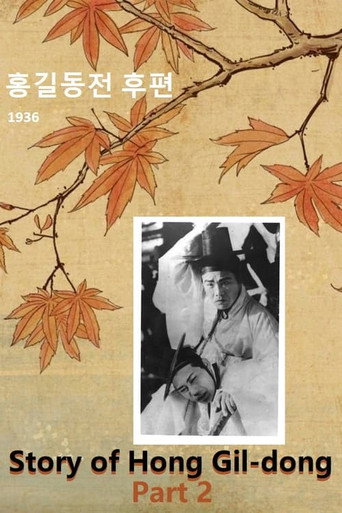 Póster de 홍길동전 후편