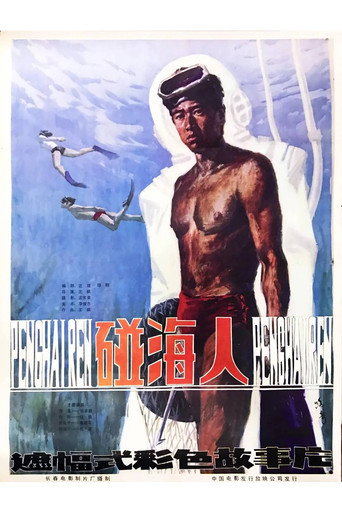 Póster de 碰海人