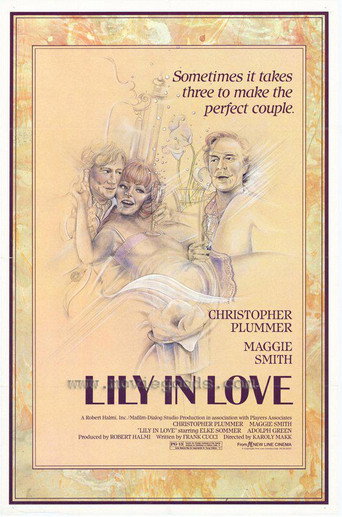 Póster de Lily in Love