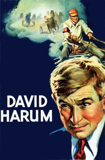 Póster de David Harum