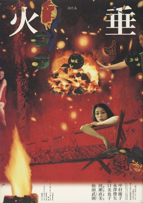 Póster de 火垂
