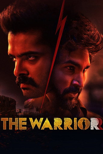 Póster de The Warriorr