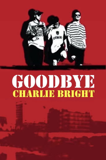 Póster de Goodbye Charlie Bright