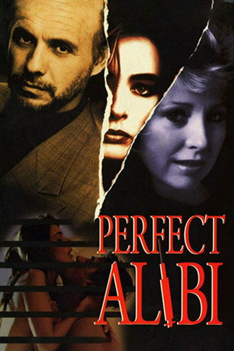 Póster de Perfect Alibi