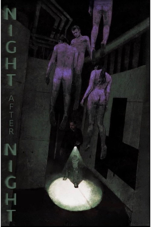 Póster de Night After Night