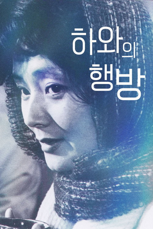 Póster de 하와의 행방