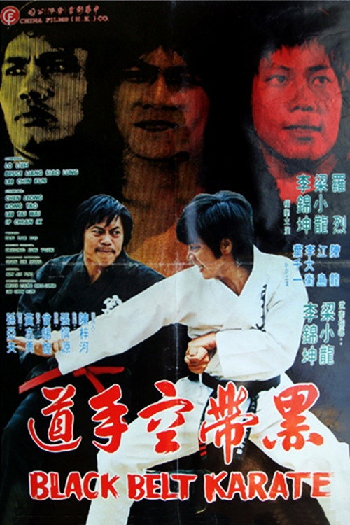 Póster de Karate sabuk hitam