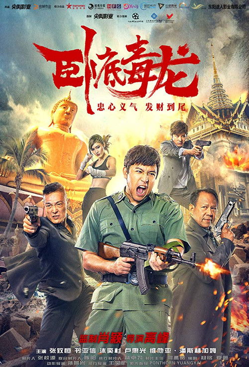 Póster de 臥底毒龍