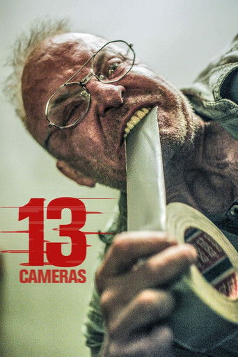 Póster de 13 Cameras