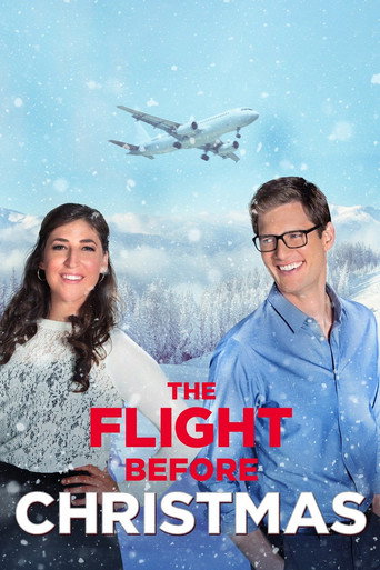 Póster de The Flight Before Christmas