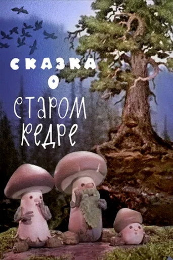 Póster de Сказка о старом кедре