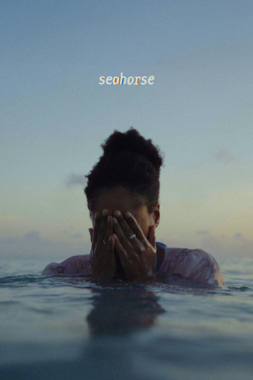 Póster de Seahorse