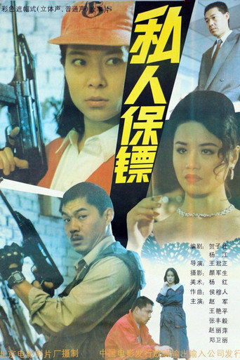 Póster de 私人保镖
