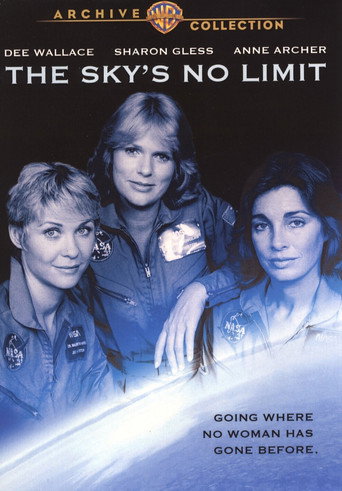 Póster de The Sky's No Limit
