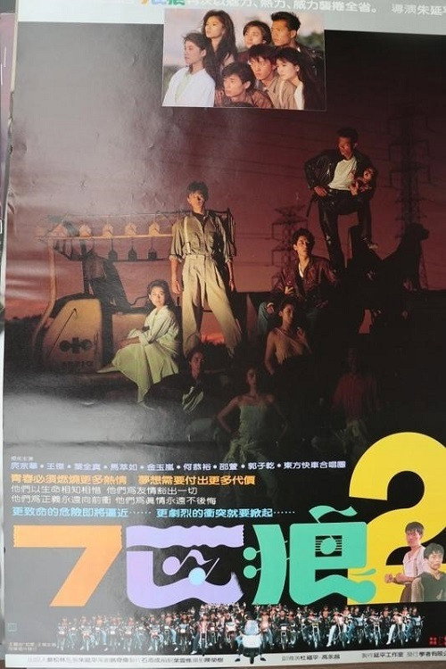 Póster de 七匹狼2
