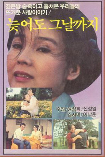 Póster de 늦어도 그 날까지