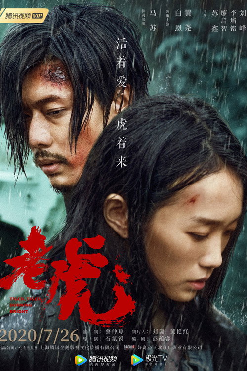 Póster de 老虎