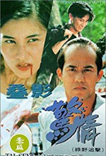 Póster de 疊影驚情