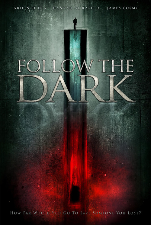 Póster de Follow the Dark