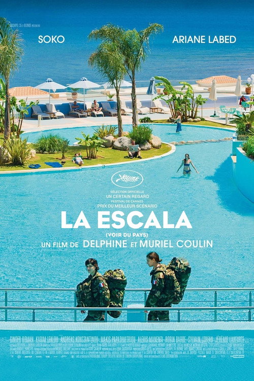 Póster de Voir du pays
