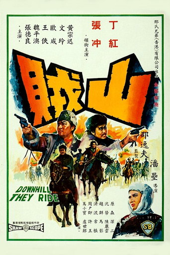 Póster de 山賊