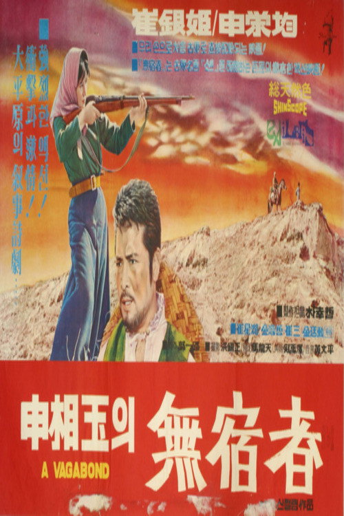 Póster de 무숙자