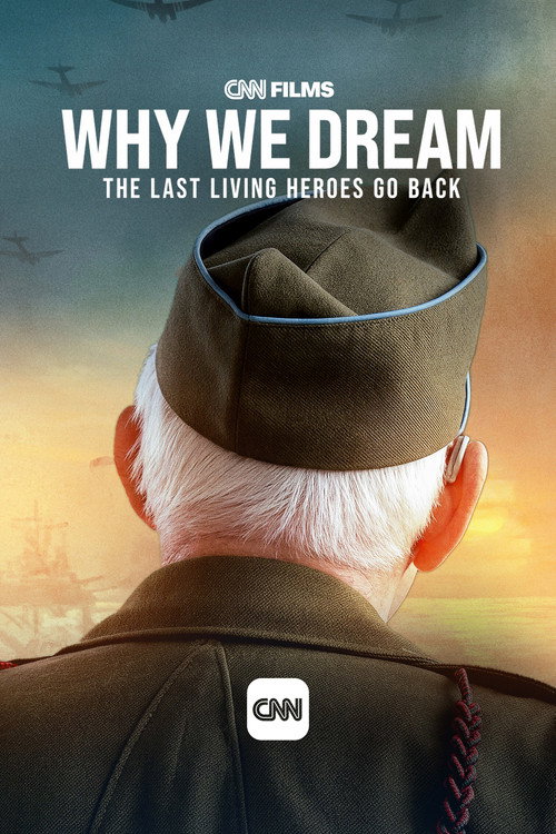 Póster de Why We Dream