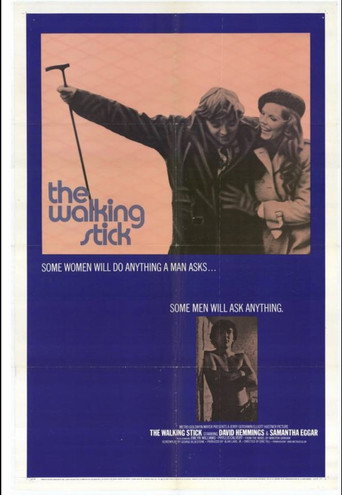 Póster de The Walking Stick