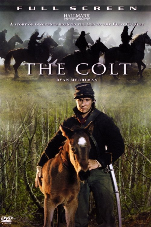 Póster de The Colt
