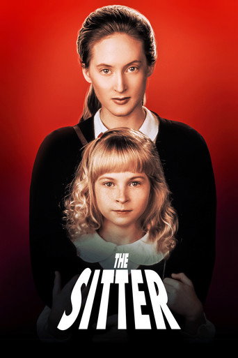 Póster de The Sitter