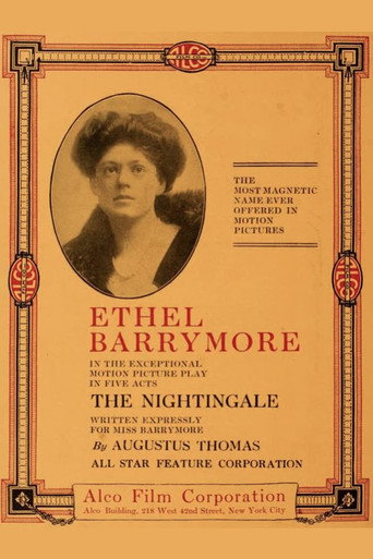Póster de The Nightingale