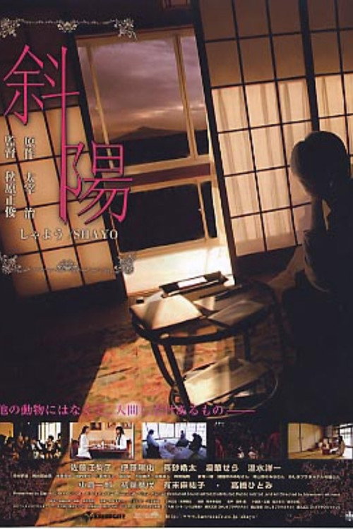 Póster de 斜陽