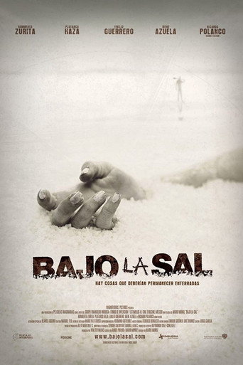 Póster de Bajo la Sal