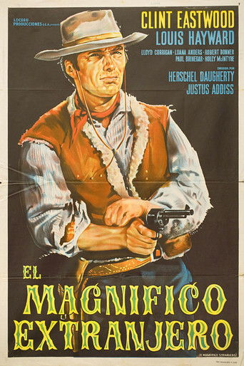Póster de El magnifico extranjero