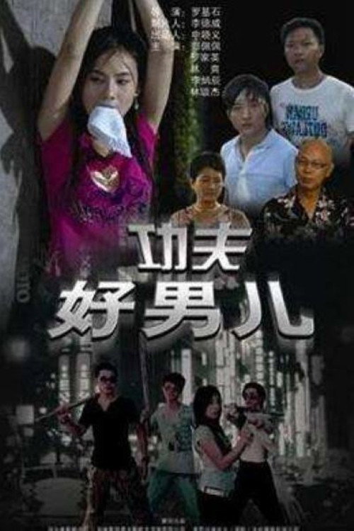 Póster de 功夫好男儿