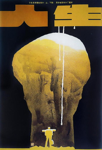 Póster de 人生