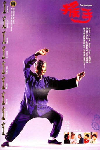 Póster de Pushing Hands