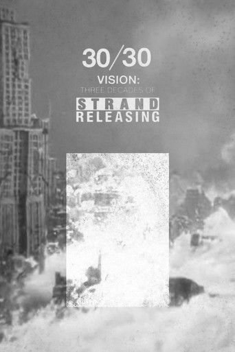 Póster de 30/30 Vision: Three Decades of Strand Releasing