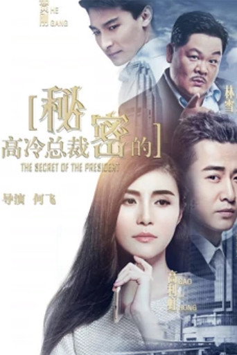 Póster de 高冷总裁的秘密