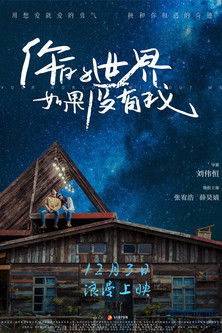 Póster de 你的世界如果没有我