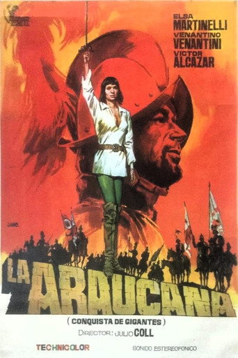 Póster de La araucana